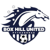 Box Hill United U20 Logo