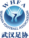 Wuhan U18 Women Logo