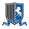 Hapoel Bnei Jat United Logo