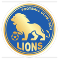BCH Lions Logo