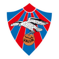 Runner up logo