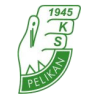 Pelikan Lowicz Logo