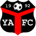 Ynyshir Albions Logo