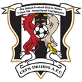 Newi Cefn Druids Logo