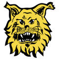 Runner up logo