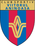 CS Viitorul Aninoasa Logo