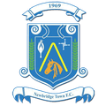Newbridge Town Logo