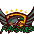 Trans Nzoia Falcons FC Women Logo