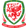 Wales Beach Soccer Logo