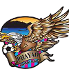 Phayao FC U19 Logo