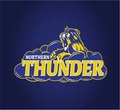 Northern Thunder Logo