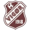 Vigor U19 Logo