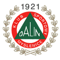 Dalin Myslenice Logo