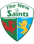 The New Saints U19 Logo