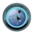 RC Epernay Champagne Logo