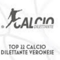 Top 22 Veronese Logo