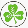 VfR Voxtrup Logo