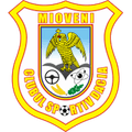 Runner up logo