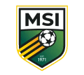 MSI (W) Logo