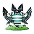 สาลิสบาลี เอฟซี Logo