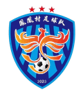 Phoenix Village Football Team Logo