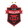 Wollongong Wolves U20 Logo