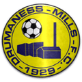 Drumaness Mills Logo