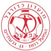 Hapoel Petah Jikva Nahum Stelmah U19 Logo