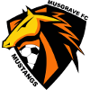 Musgrave Gree Ii Logo