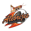 Alebrijes de Oaxaca II Logo