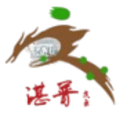 Chongqing Qingyun Logo
