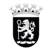 FC Tirsense (W) Logo