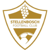 Stellenbosch FC Reserves Logo