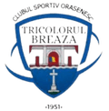 CS Tricolorul Breaza Logo