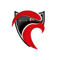 Nice Cavigal (U19) Logo
