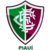 ฟลูมิเนนเซ่ พีไอ (เยาวชน) Logo