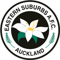 Runner up logo