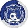 Young Brazilians Logo