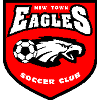 New Town Eagles Logo