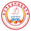 Nanning Dongfang U19 Logo