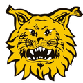FC Ilves U21 Logo