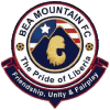 Runner up logo