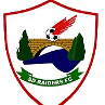 SD Raiders FC Logo