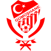 Runner up logo