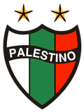 Palestino U20 Logo