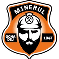 Minerul Ocna Dej Logo