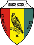 Sokol Kolbuszowa Dolna Logo