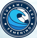 Tsunami Azul Women Logo