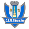 CSM Targu Jiu Logo