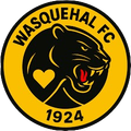 ES Wasquehal U17 Logo